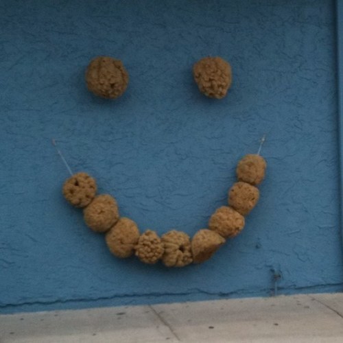 caholmberg's profile picture. 