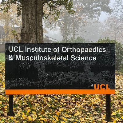 Liu_Lab_UCLIOMS's profile picture. Prof. Chaozong Liu lab in @UCL Institute of Orthopaedics & Musculoskeletal Science @RNOHnhs
#Orthopaedic_Bioengineering #Biomaterials #Tissue_Engineering