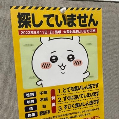 aripeii's profile picture. アクセ好き ポケカsupreme スニーカー 集めにハマりました 大体ポケカの事です ギリギリ20代 最近ユニアリにハマりました！ トレカの鑑定品にもハマっています。 最近イーフト始めました