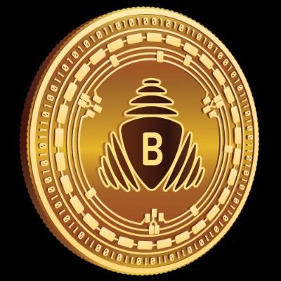 BMI Tokens