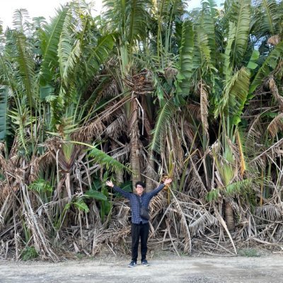 ryo_kozin's profile picture. Software Engineer