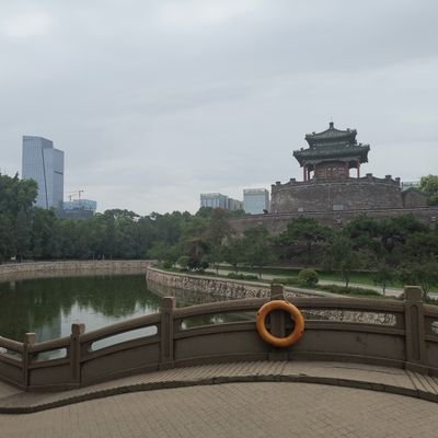 yangjinsheng5's profile picture. 天下谁人不识君