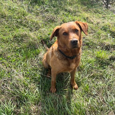 donoughkenny's profile picture. 