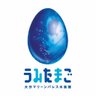 umitamago_staff's profile picture. 水族館「うみたまご」は「動物と仲良くなれる水族館」をコンセプトに人と海の動物たちが身近にふれあい、仲良くなる事のできる場所です。ご質問・ご要望は【メールアドレス：info@umitamago.jp】までお問い合わせください。
【電話番号：097-534-1010】