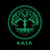 Gaia - Dragonspirit Games - Wishlist Now (@dragonspirgames) Twitter profile photo