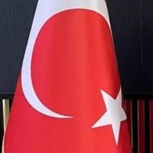 capcomcps1's profile picture. 