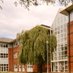TTMI - Trinity Translational Medicine Institute (@tcdtmi) Twitter profile photo TTMI - Trinity Translational Medicine Institute (@tcdtmi) Twitter profile photo