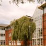 TCDTMI's profile picture. TTMI is Trinity's leading health sciences-focused institution, aiming to improve human health through translational research