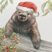 Wombat 🇦🇺 🐨(@BrisbaneMum67) 's Twitter Profile Photo