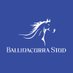 Ballinacurra Stud (@ballinacurrast1) Twitter profile photo Ballinacurra Stud (@ballinacurrast1) Twitter profile photo