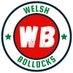 Welsh Bollocks 🏴󠁧󠁢󠁷󠁬󠁳󠁿 (@welshbollocks) Twitter profile photo