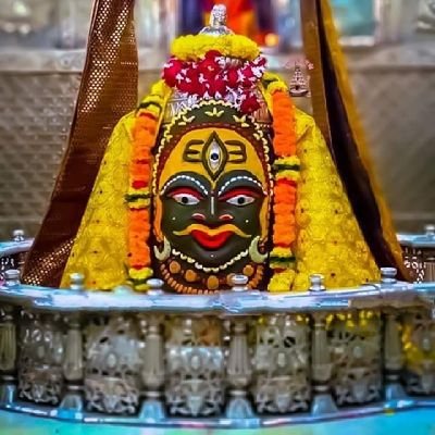 alok17788's profile picture. 