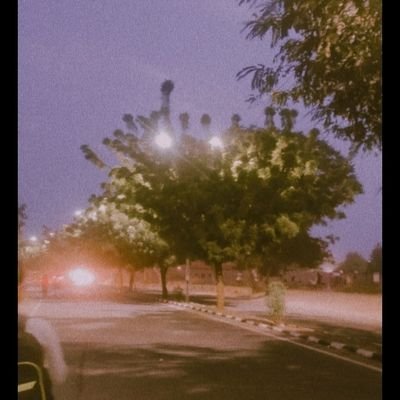 TanuMeena12345's profile picture. 