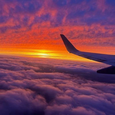 tyler_kelley12's profile picture. 