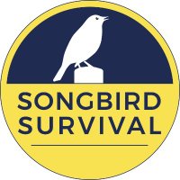 SongBird Survival (@songbirdsbs) 's Twitter Profile