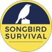 SongBird Survival (@SongBirdSBS) Twitter profile photo