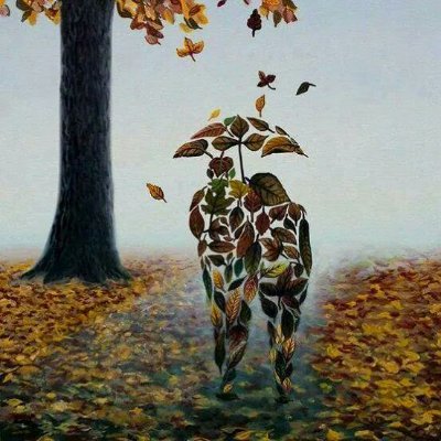 Quien no ama por miedo a sufrir
es como quien se suicida por miedo a la muerte.