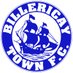 Billericay Town FC Women (@BTFCWomen) Twitter profile photo