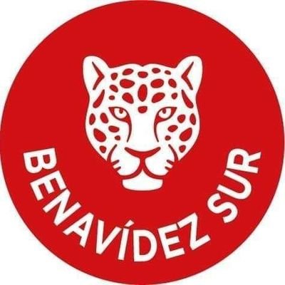 BenavidezSur Profile Picture