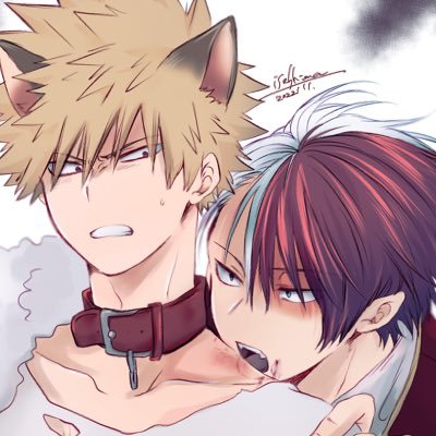 志摩/いせさんのプロフィール画像