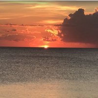 Mickymoo (@mikelthepike) 's Twitter Profile