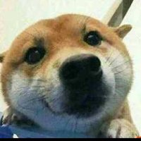 Lixiaoyi (@xiao632145) 's Twitter Profile