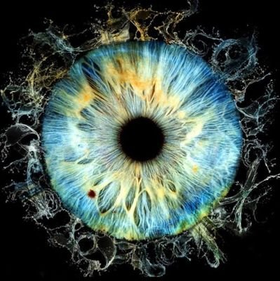 Finsaco's profile picture. 🌟 AI Explorer! 🌟
 Follow me as we learn everything about Machine Learning from scratch together! #AI #MachineLearning #DeepLearning #Transformers