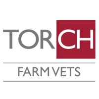 Torch Farm Vets(@TorchFarmVets) 's Twitter Profile Photo