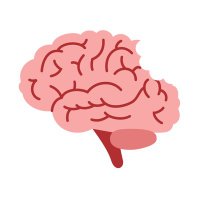 Neuropsychology workshops for clinicians/students (@bitesizeneuro) 's Twitter Profile Photo Neuropsychology workshops for clinicians/students (@bitesizeneuro) 's Twitter Profile Photo