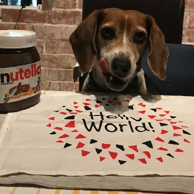 FAN of Dark Chocolate, Nutella, Stouts, Espresso, Kindness & the Yankees. My boss is my Beagle, Nutella. Hailing from Yonkers.