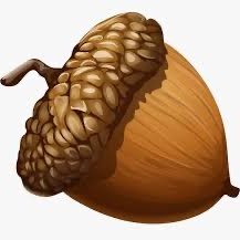 OakleyAcorn's profile picture. DeSantis 2024!!

I follow back 

No DMs