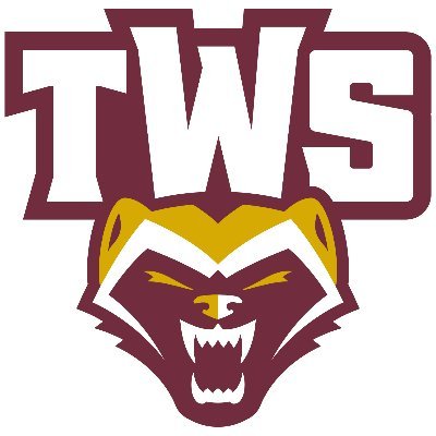 twsbaseball Profile Picture