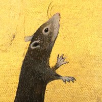 Liza Adamczewski or the accidental ecologist (@lizaadamczewski) 's Twitter Profile Photo Liza Adamczewski or the accidental ecologist (@lizaadamczewski) 's Twitter Profile Photo