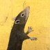 Liza Adamczewski or the accidental ecologist (@lizaadamczewski) Twitter profile photo Liza Adamczewski or the accidental ecologist (@lizaadamczewski) Twitter profile photo