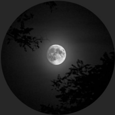 the_moon_lovers Profile Picture
