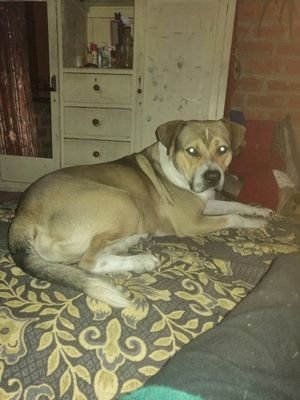 SSuavesita's profile picture. 