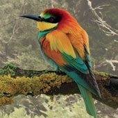 Childress_Cabot's profile picture. We are an independent insurance agency. Think of us first for all your insurance needs and you will see there truly is a difference!