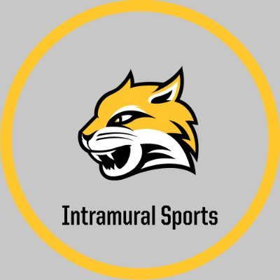 Official account of @waynestcollege Intramurals Sports.