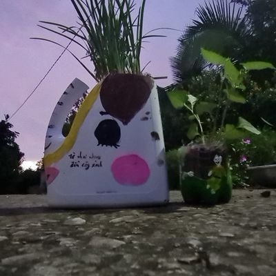 dconeservice's profile picture. Co-Founder @dconecrypto