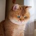 say thanks to rish because she (@meow_meooooow) Twitter profile photo say thanks to rish because she (@meow_meooooow) Twitter profile photo