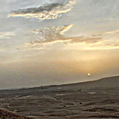 mengal14846216's profile picture. 