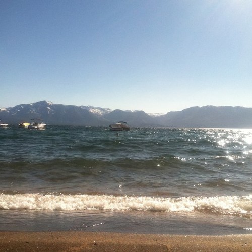 tahoedays's profile picture. 