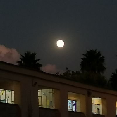 soybere14's profile picture. La vida es una y vivela como ninguna ♥️