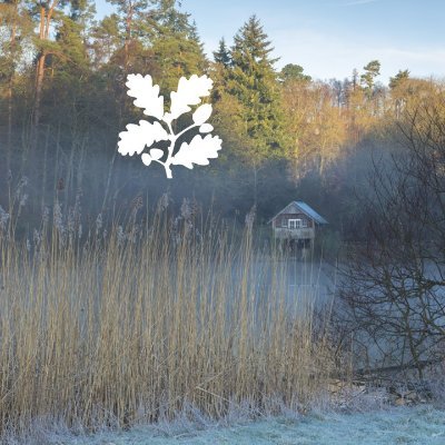 Tucked into the rolling hills of Surrey, Winkworth reflects the changing colours of every season. @NationalTrust's only arboretum with stunning autumn colour.