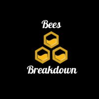 Bees Breakdown (@beesbreakdown) 's Twitter Profile Photo Bees Breakdown (@beesbreakdown) 's Twitter Profile Photo