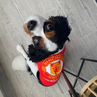 LoiKitHoe's profile picture. 👻: loikithoe107