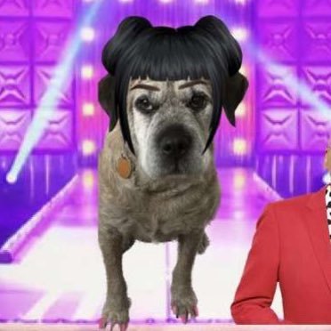 hheyheatherrr's profile picture. 