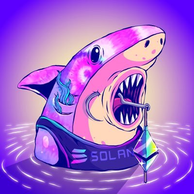 Raider shark on mission🦈 @shkarysharks