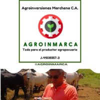 Agroinversiones Marchena C.A.(@abdenagoml) 's Twitter Profile Photo