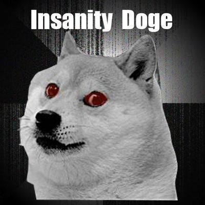 We are the first Cryptocurrency and NFT that lets owners earn money! Visit our Webpage to learn more!
#InsanityDoge